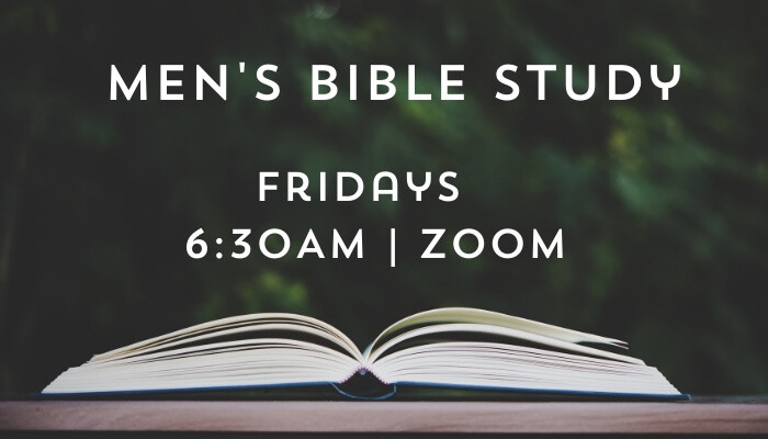 Friday Morning Men's Small Group Bible Study-Online